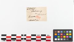 Etiketten zu Spinnwirtel (NHMW-PRAE-023721)
